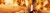 b6be20965f97a8c4333516081e4bd4d8.jpg