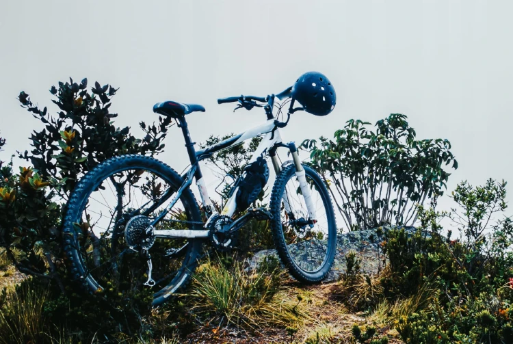 27def71814874db9085f256cfa02c30f.jpg