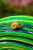 8dc0722dd9b345385cf11f8ba56d37f9.jpg
