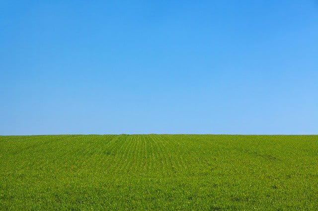 3a88796c5e6cefef0994436ec8c6fdd7.jpg
