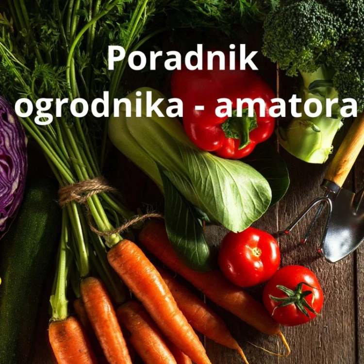 ae62c6f999047259fa2ffb0c9f389d1c.jpg