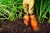 7beea8eabe0a715dd205a9dff7afb6c3.jpg