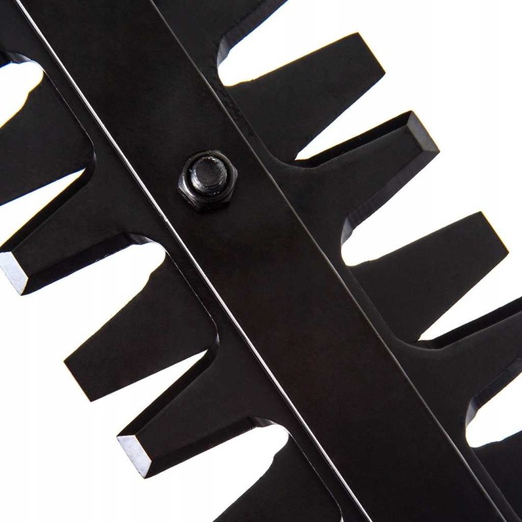 3608195ad2b2b4ebd84bacd391252d70.jpg