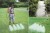 73346762614309a83a3ba00e44804aa4.jpg