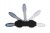 0889ffc8396f94da2dcb39945d206139.jpg