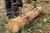 d42ffcd82f7da0d44be450f168059a15.jpg