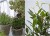 e806502da61ee469996ce433c69f415b.jpg